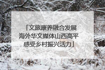 文旅康养融合发展 海外华文媒体山西高平感受乡村振兴活力
