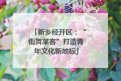 新乡经开区：“街舞莱客”打造青年文化新地标
