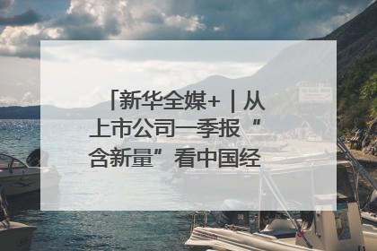 新华全媒+｜从上市公司一季报“含新量”看中国经济发展向“新”
