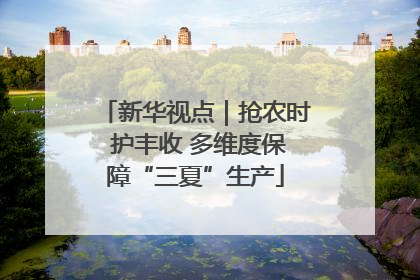 新华视点｜抢农时 护丰收 多维度保障“三夏”生产