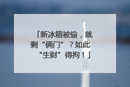 新冰箱被偷，就剩“俩门”？如此“生财”得拘！