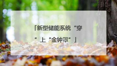新型储能系统“穿”上“金钟罩”