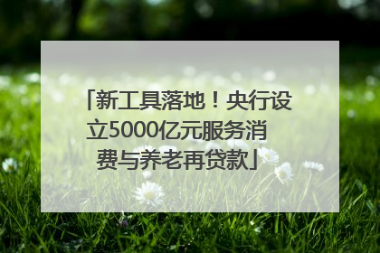 新工具落地！央行设立5000亿元服务消费与养老再贷款
