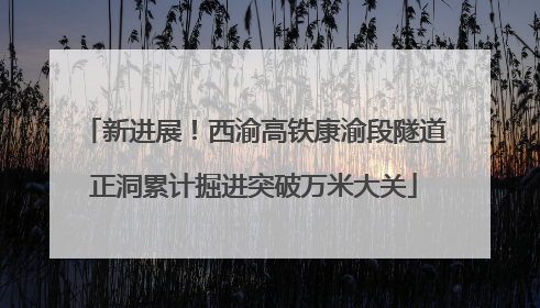 新进展！西渝高铁康渝段隧道正洞累计掘进突破万米大关