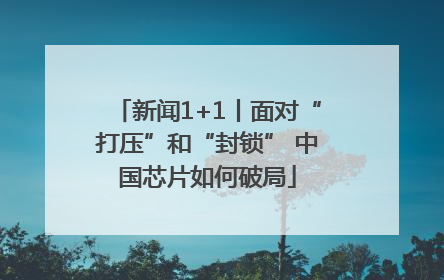 新闻1+1丨面对“打压”和“封锁” 中国芯片如何破局