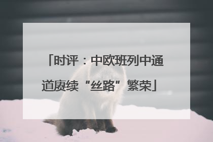 时评：中欧班列中通道赓续“丝路”繁荣