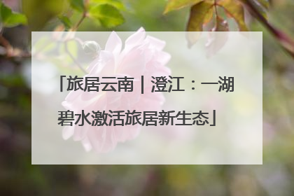 旅居云南｜澄江：一湖碧水激活旅居新生态