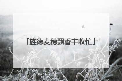 旌德麦穗飘香丰收忙