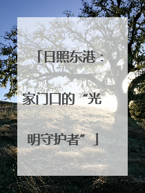 日照东港：家门口的“光明守护者”