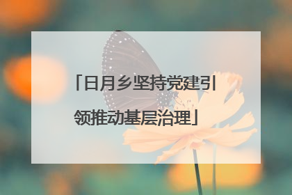 日月乡坚持党建引领推动基层治理