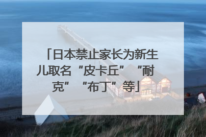 日本禁止家长为新生儿取名“皮卡丘”“耐克”“布丁”等