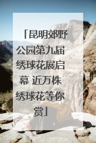 昆明郊野公园第九届绣球花展启幕 近万株绣球花等你赏