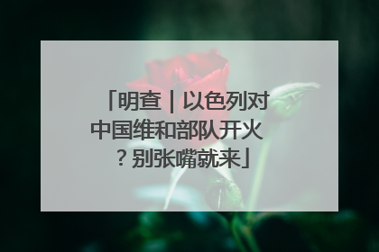 明查｜以色列对中国维和部队开火？别张嘴就来