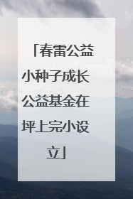 春雷公益小种子成长公益基金在坪上完小设立