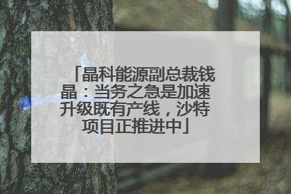晶科能源副总裁钱晶：当务之急是加速升级既有产线，沙特项目正推进中