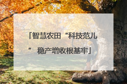 智慧农田“科技范儿” 稳产增收根基牢