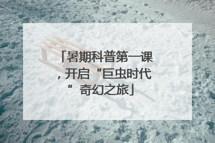 暑期科普第一课，开启“巨虫时代”奇幻之旅