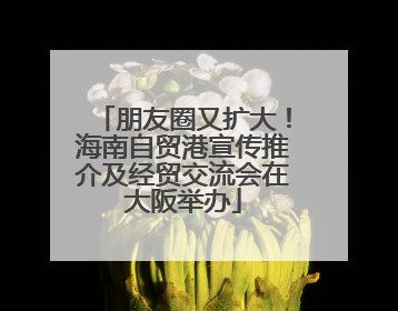 朋友圈又扩大！海南自贸港宣传推介及经贸交流会在大阪举办
