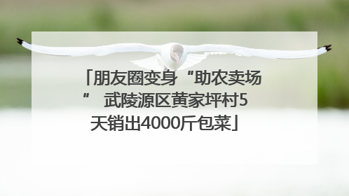 朋友圈变身“助农卖场” 武陵源区黄家坪村5天销出4000斤包菜