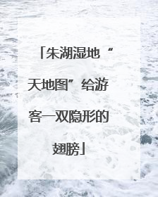 朱湖湿地“天地图”给游客一双隐形的翅膀
