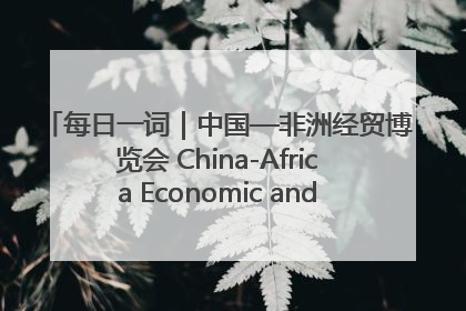 每日一词｜中国—非洲经贸博览会 China-Africa Economic and Trade Expo