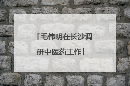 毛伟明在长沙调研中医药工作
