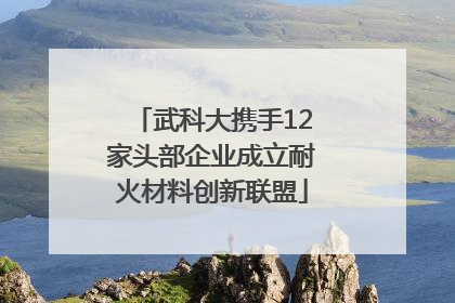 武科大携手12家头部企业成立耐火材料创新联盟
