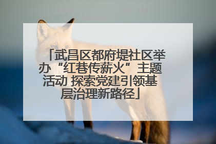 武昌区都府堤社区举办“红巷传薪火”主题活动 探索党建引领基层治理新路径