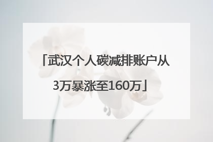 武汉个人碳减排账户从3万暴涨至160万