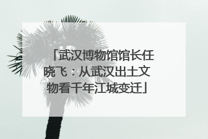 武汉博物馆馆长任晓飞：从武汉出土文物看千年江城变迁