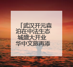 武汉开元森泊在中法生态城盛大开业 华中文旅再添新地标