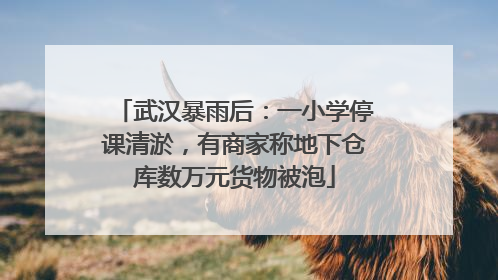 武汉暴雨后：一小学停课清淤，有商家称地下仓库数万元货物被泡