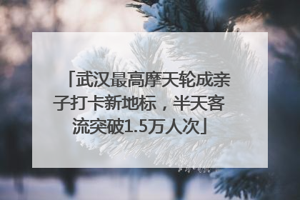 武汉最高摩天轮成亲子打卡新地标，半天客流突破1.5万人次