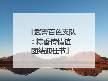 武警百色支队：粽香传情谊 团结迎佳节