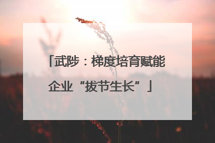 武陟：梯度培育赋能企业“拔节生长”