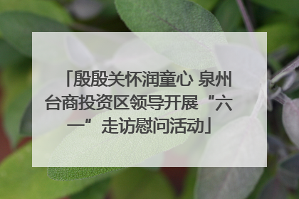 殷殷关怀润童心 泉州台商投资区领导开展“六一”走访慰问活动