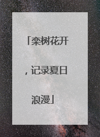 栾树花开，记录夏日浪漫