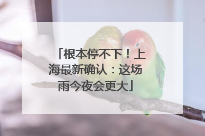 根本停不下！上海最新确认：这场雨今夜会更大