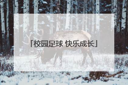 校园足球 快乐成长