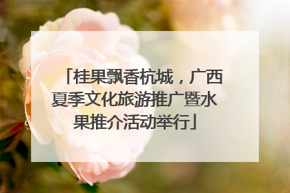 桂果飘香杭城，广西夏季文化旅游推广暨水果推介活动举行