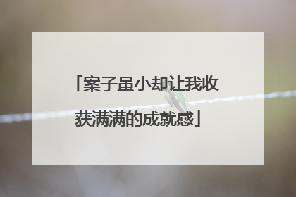 案子虽小却让我收获满满的成就感