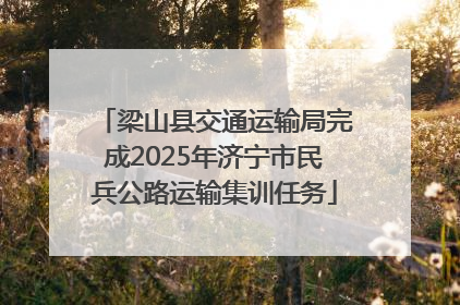 梁山县交通运输局完成2025年济宁市民兵公路运输集训任务