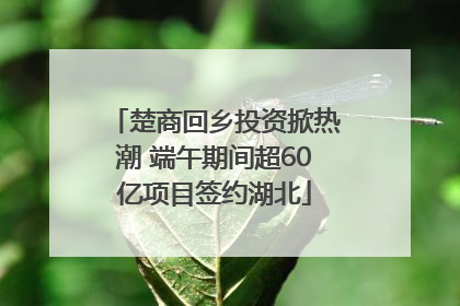楚商回乡投资掀热潮 端午期间超60亿项目签约湖北
