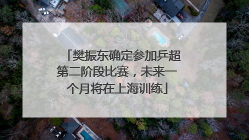 樊振东确定参加乒超第二阶段比赛，未来一个月将在上海训练