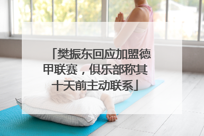 樊振东回应加盟德甲联赛，俱乐部称其十天前主动联系