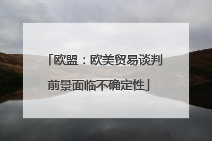 欧盟：欧美贸易谈判前景面临不确定性
