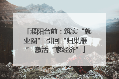 濮阳台前：筑实“就业圈” 引回“归巢雁” 激活“家经济”