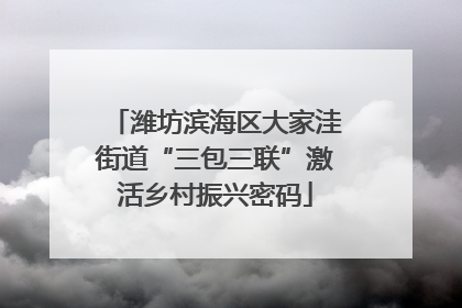 潍坊滨海区大家洼街道“三包三联”激活乡村振兴密码