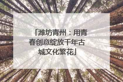 潍坊青州：用青春创意绽放千年古城文化繁花