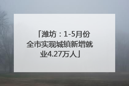 潍坊：1-5月份全市实现城镇新增就业4.27万人
